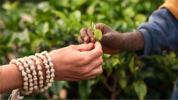 Responsible Sourcing